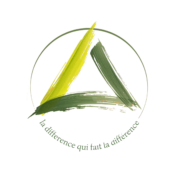 therapie du trauma bruxelles